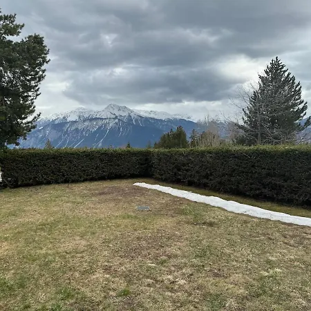 Arnica * Crans-Montana
