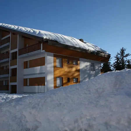 Arnica Apartment