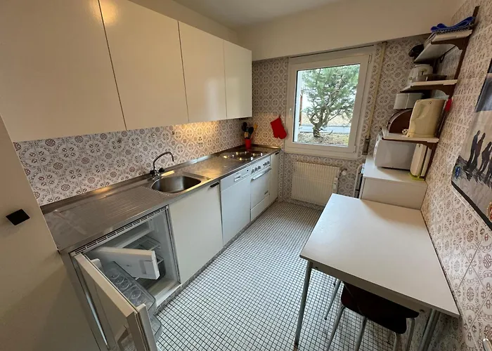 Arnica 20 * 克莱恩 蒙塔纳