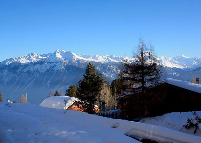 Appartement Arnica 20 *